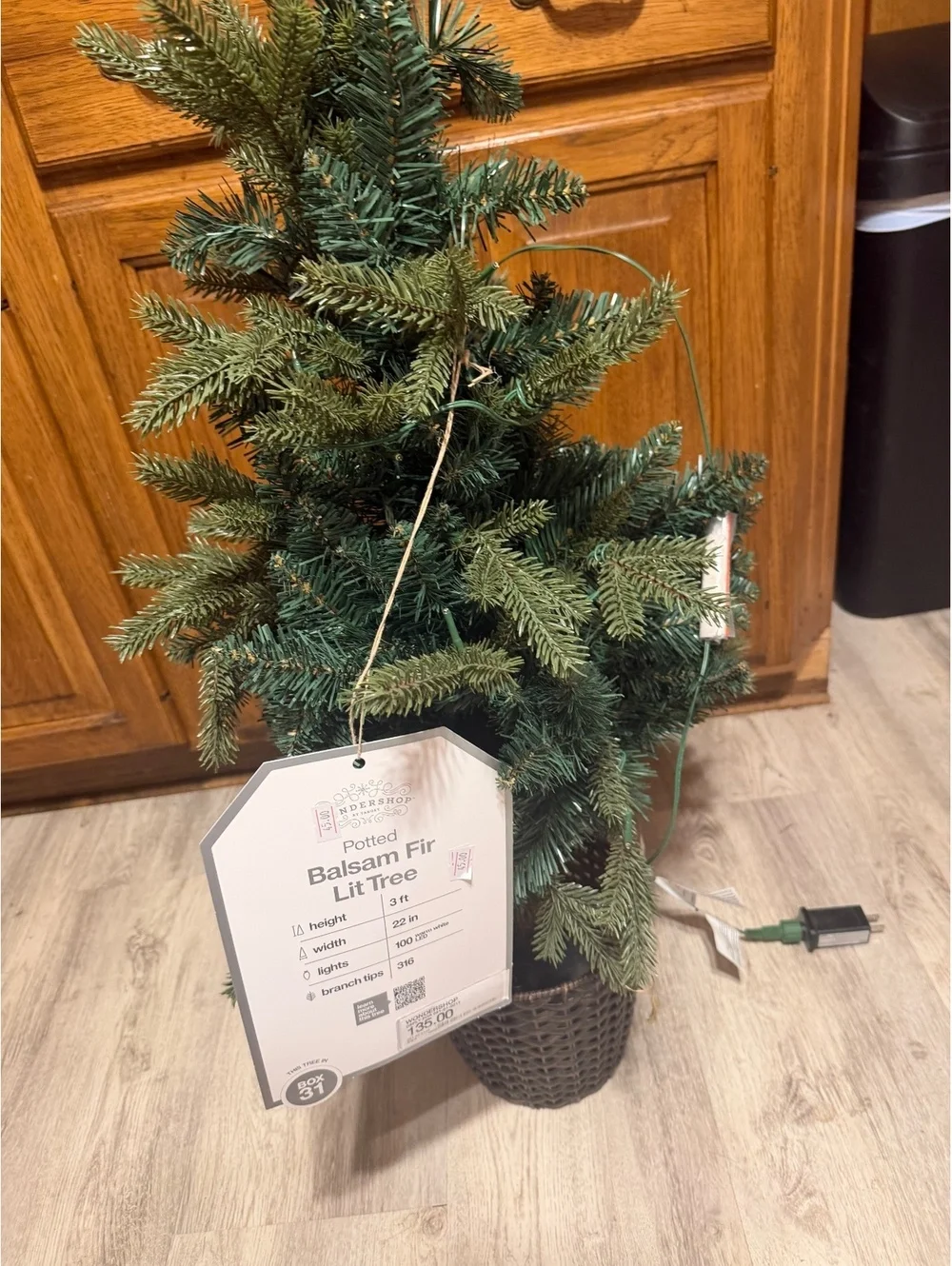 Potted balsam fir lit tree
